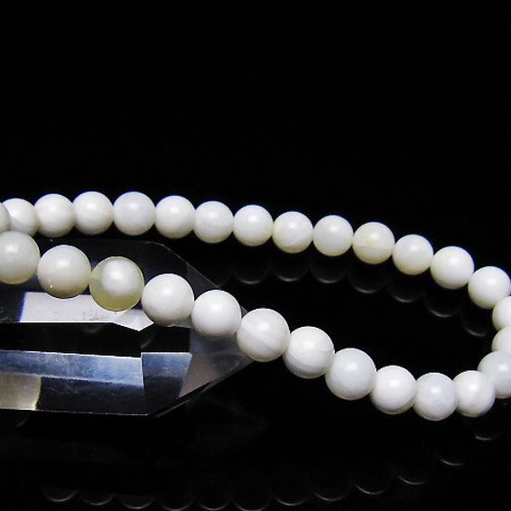 シャコガイ ブレスレット 6mm [t217-1615]