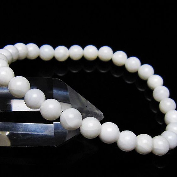 シャコガイ ブレスレット 6mm [t217-1623]