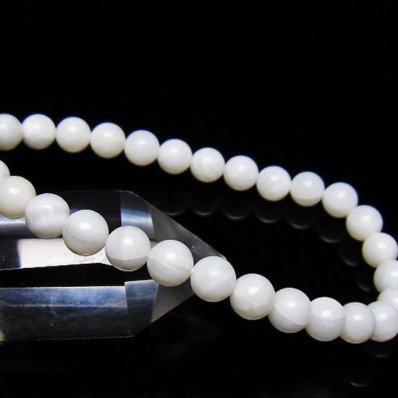 シャコガイ ブレスレット 6mm [t217-1627]