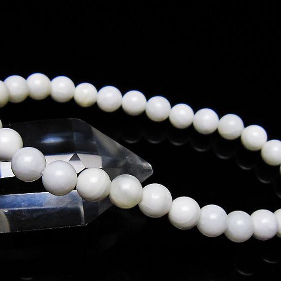 シャコガイ ブレスレット 6mm [t217-1630]