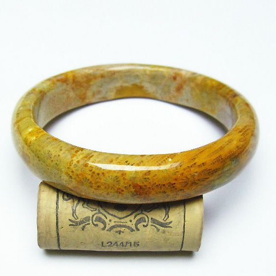 フォッシルコーラル バングル  化石珊瑚 60mm [T23-2186]