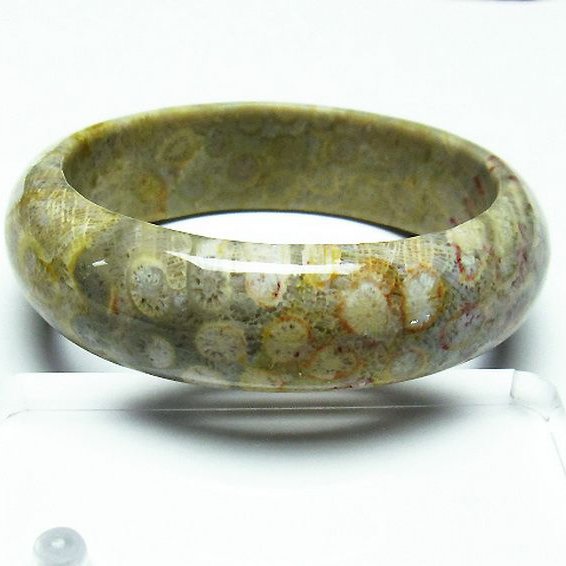 フォッシルコーラル バングル  化石珊瑚 60mm [T23-2391]