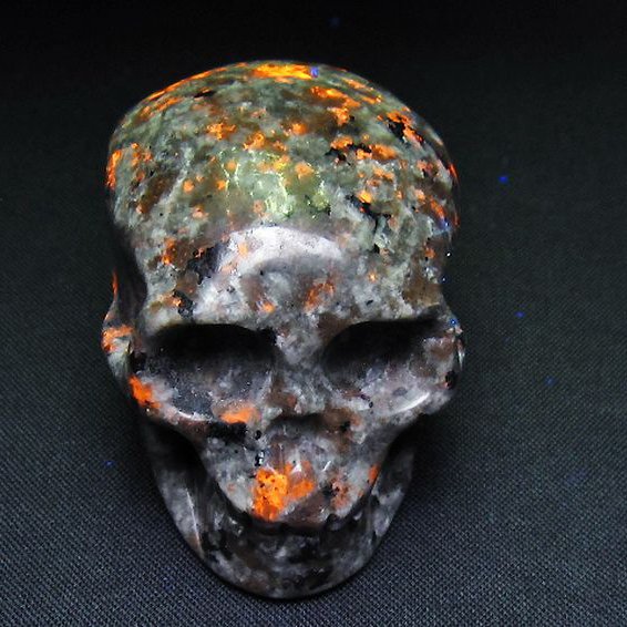 ユーパーライト ドクロ 置物[T292-3291]