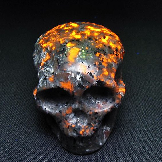 ユーパーライト ドクロ 置物[T292-3352]