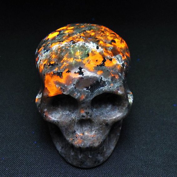 ユーパーライト ドクロ 置物[T292-3370]