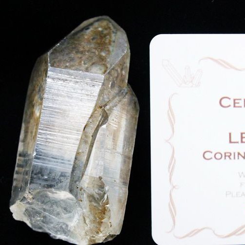 シトリン レムリアンシード水晶 原石 ミナスジェライス州コリント産 ※証明書付き[T370-4181]