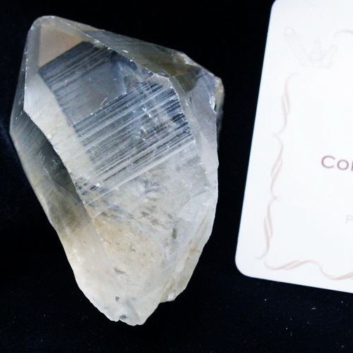 シトリン レムリアンシード水晶 原石 ミナスジェライス州コリント産 ※証明書付き[T370-4187]