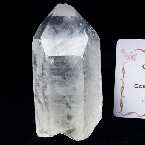 レムリアンシード ガーデン水晶 原石 ミナスジェライス州コリント産 ※証明書付き[T370-4274]