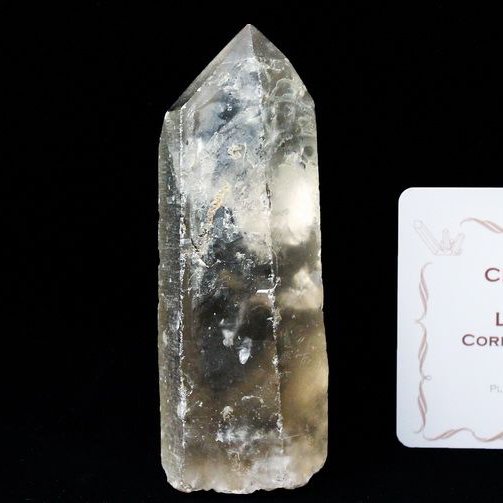 シトリン レムリアンシード水晶 原石 ミナスジェライス州コリント産 ※証明書付き[T370-4812]