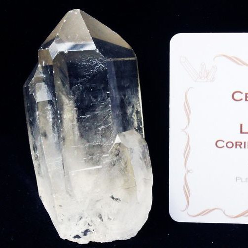 レムリアンシード カテドラルライブラリー 水晶 原石 ミナスジェライス州コリント産 ※証明書付き[T370-4910]