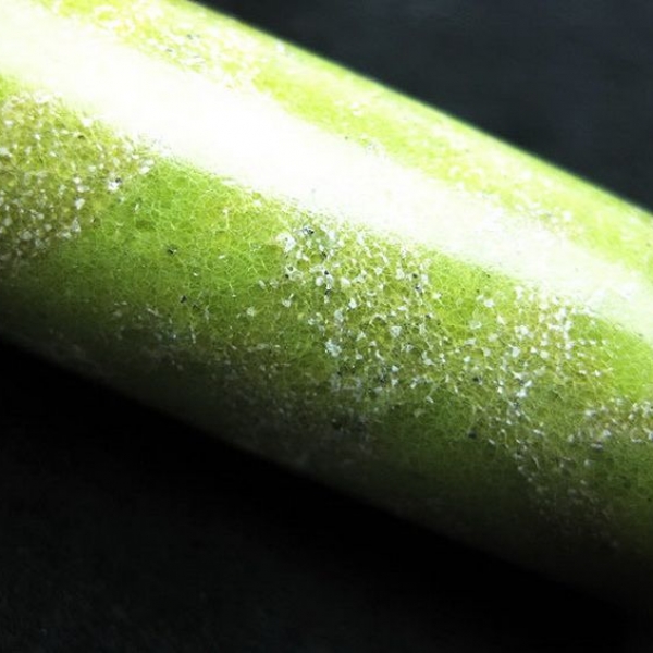 レモン水晶 印材　 20mm [T49-40]