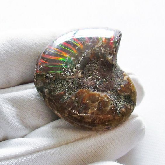 虹入り アンモナイト 化石[T570-4733]