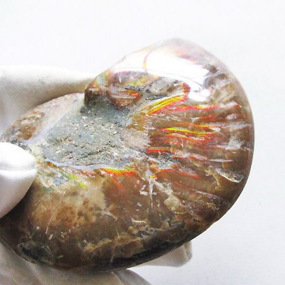虹入り アンモナイト 化石[T570-4798]