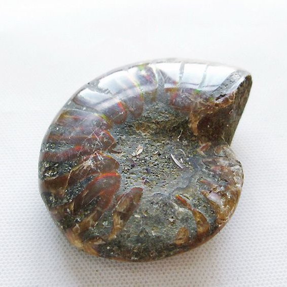 虹入り アンモナイト 化石[T570-5061]