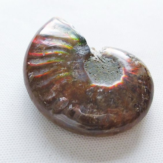 虹入り アンモナイト 化石[T570-5091]