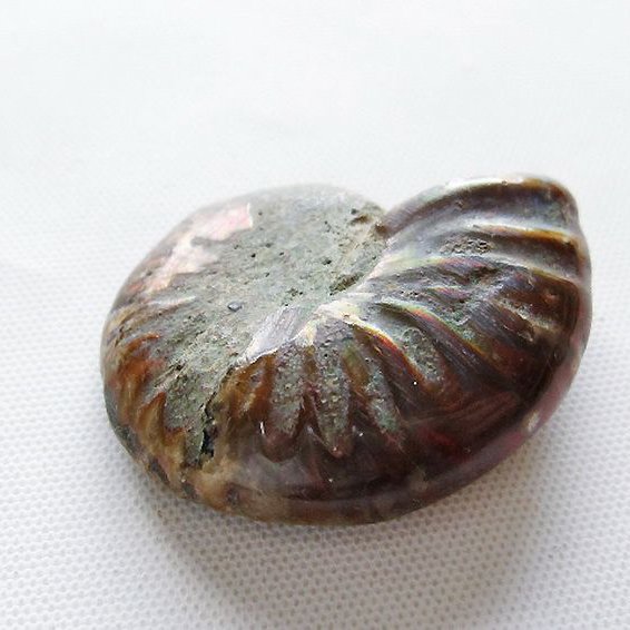 虹入り アンモナイト 化石[t570-5096]