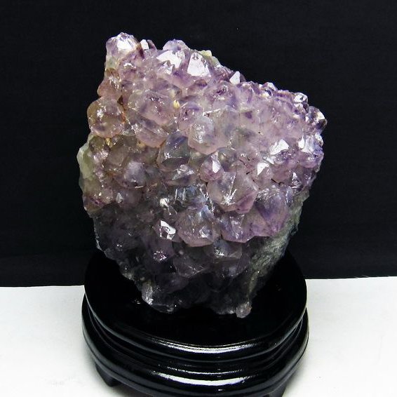 アメジスト ファントムフラワー 【公式通販】