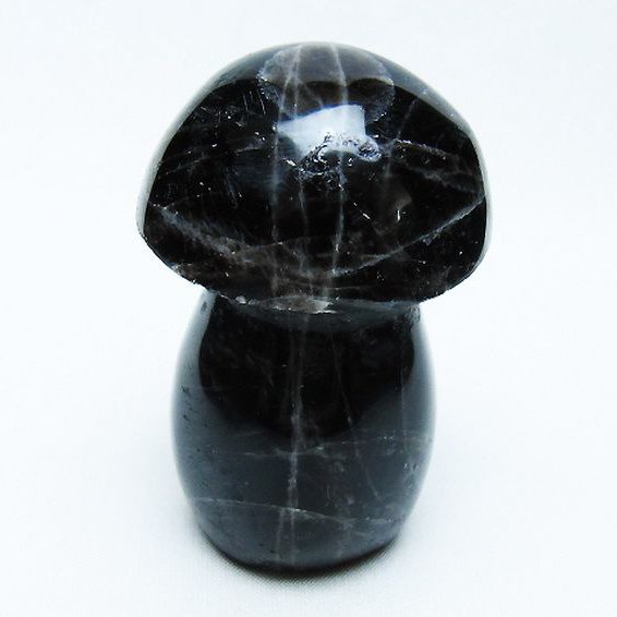 モリオン 純天然 黒水晶 きのこ 置物[T653-4264]