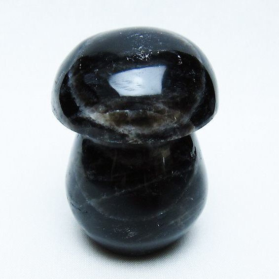 モリオン 純天然 黒水晶 きのこ 置物[T653-4279]