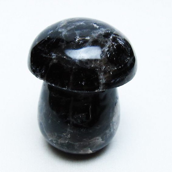 モリオン 純天然 黒水晶 きのこ 置物 [t653-4424]