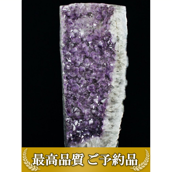 《ご予約品 ご注文から約3ヵ月後の発送予定》80.3Kg(特大品) ブラジル産 アメジストクラスター 同梱不可[T659-1699]