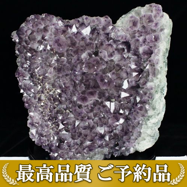 《ご予約品 ご注文から約3ヵ月後の発送予定》65.1Kg(特大品) フラワーアメジストクラスター 同梱不可[T659-1700]