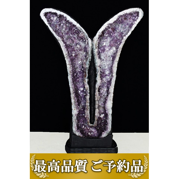 ★ご予約品 ご注文から3ヵ月後の発送予定 ty★ 55Kg ブラジル産 アメジストドーム 同梱不可 (特大品) [t659-1801]