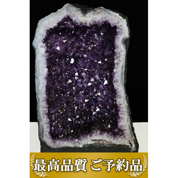 ★ご予約品 ご注文から3ヵ月後の発送予定 ty★ 64.7Kg ブラジル産 アメジストドーム 同梱不可 (特大品) [t659-1817]
