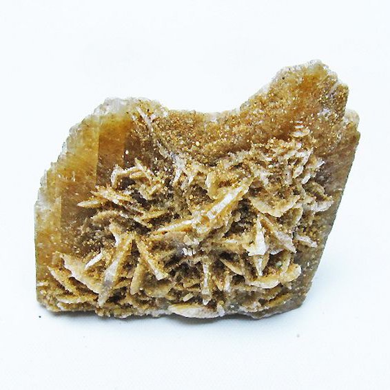 デザートローズ 原石 [t677-2156]