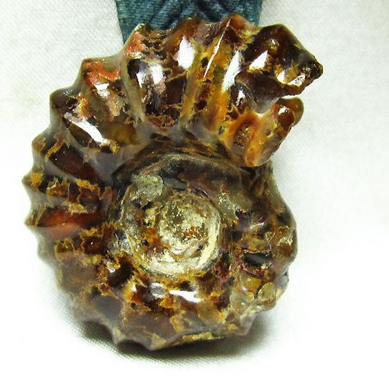 アンモナイト「置物」の商品一覧ページ