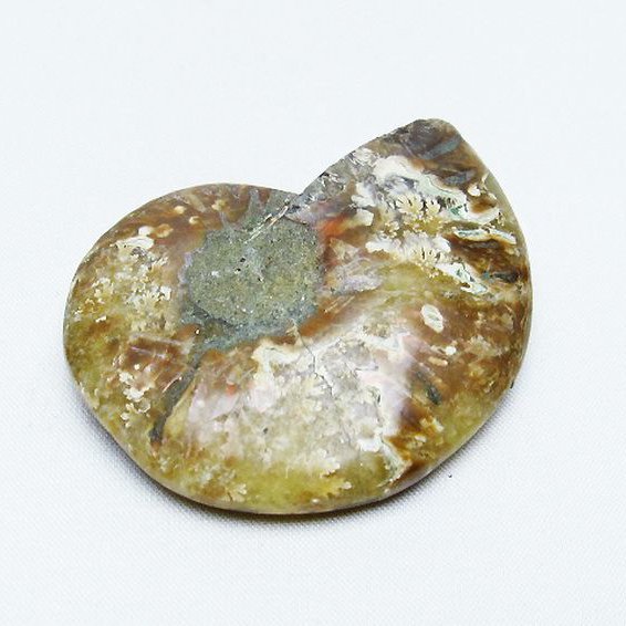 アンモナイト化石 約16cm 希少 パイライトアンモナイト プレウロセラス 23g パイライト