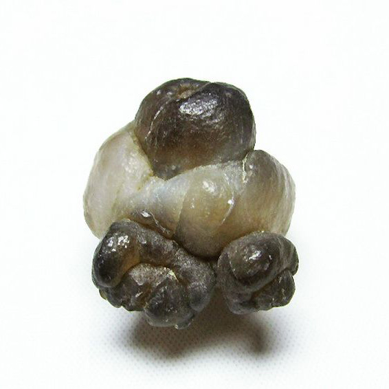 カルセドニーノジュール(球状玉髄) モロッコ産  ツーソン展示会品[T742-379]