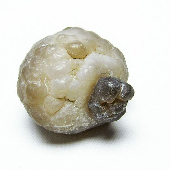 カルセドニーノジュール(球状玉髄) モロッコ産  ツーソン展示会品[T742-382]