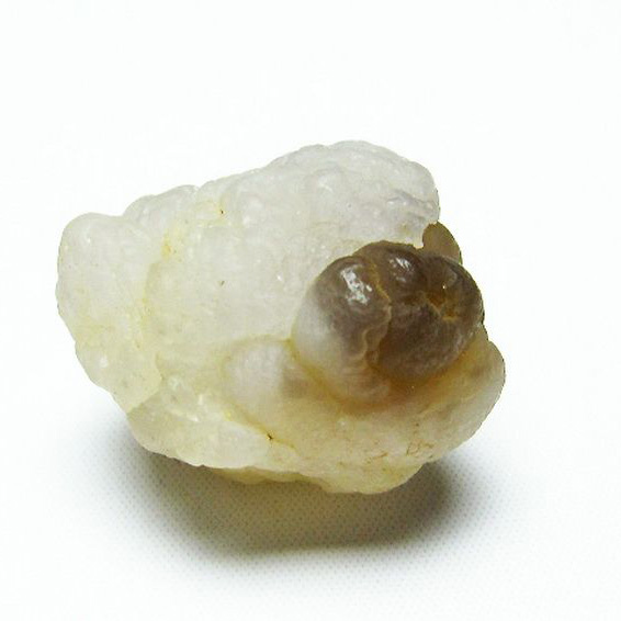 カルセドニーノジュール(球状玉髄) モロッコ産 ツーソン展示会品[T742-394]