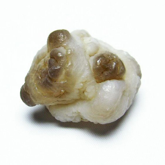 カルセドニーノジュール(球状玉髄) モロッコ産 ツーソン展示会品[T742-450]