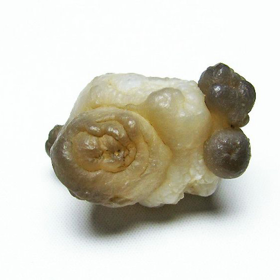 カルセドニーノジュール(球状玉髄) モロッコ産 ツーソン展示会品[T742-454]