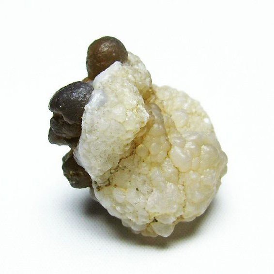 カルセドニーノジュール(球状玉髄) モロッコ産 ツーソン展示会品[T742-462]