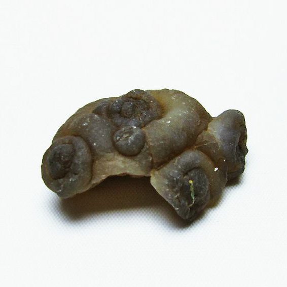 カルセドニーノジュール(球状玉髄) モロッコ産 ツーソン展示会品[T742-552]