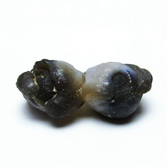 カルセドニーノジュール(球状玉髄) モロッコ産 ツーソン展示会品[T742-609]