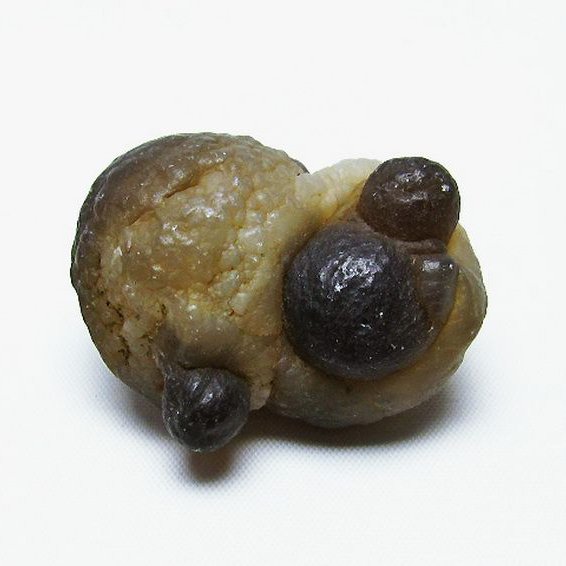 カルセドニーノジュール(球状玉髄) モロッコ産 ツーソン展示会品[T742-617]