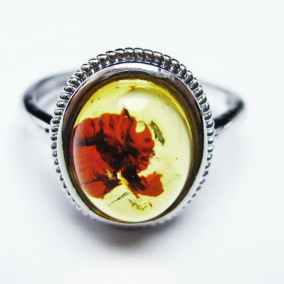 アンバー 琥珀 指輪 (17号)[T746-3360]