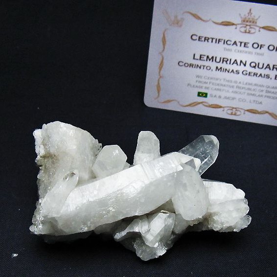 レムリアンシード 水晶 クラスター ミナスジェライス州コリント産  ※証明書付き[T759-1295]