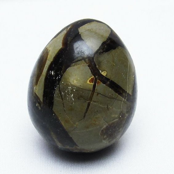 マダガスカル産 タートルジャスパー たまご[T761-2970]