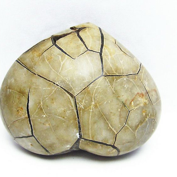 マダガスカル産 タートルジャスパー ハート型 原石[T761-3101]