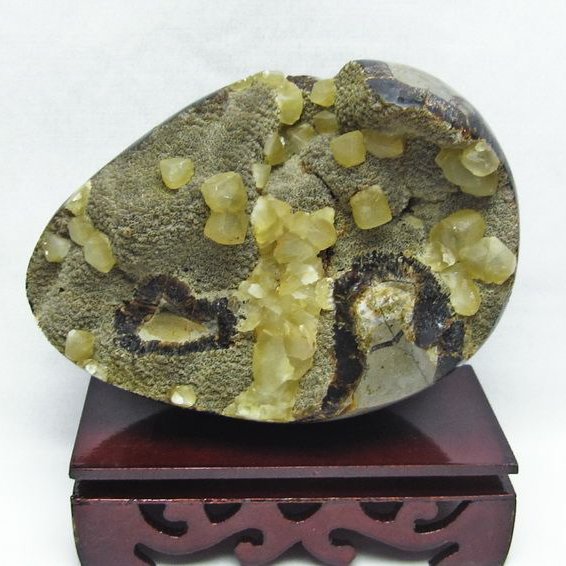 1.6Kg マダガスカル産  タートルジャスパー カルサイト共生  丸玉 [T762-1644]