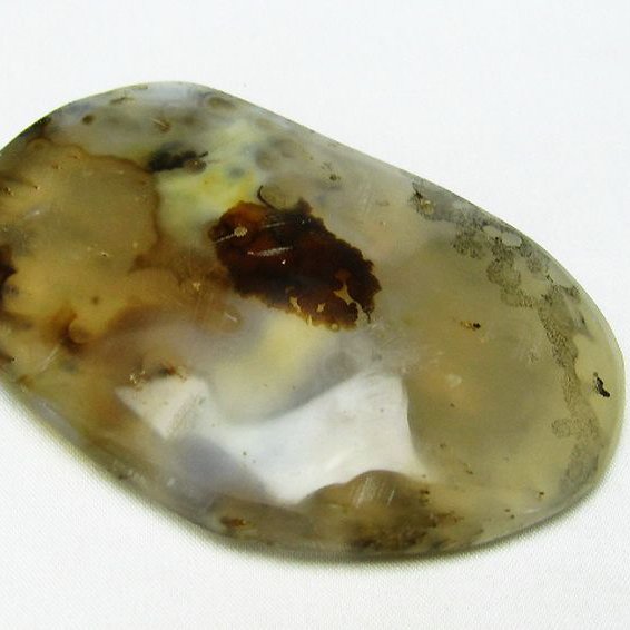 メノウデンドリッククォーツ 原石[T763-2706]