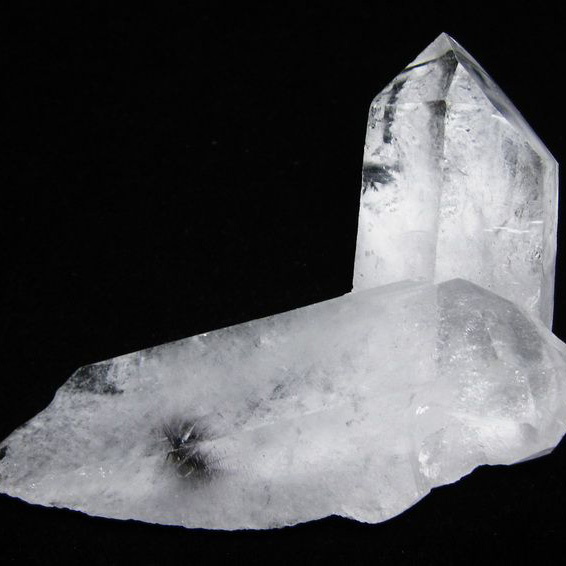 ロイヤルプラチナルチル　クラスター アメリカ産 [T768-2795]