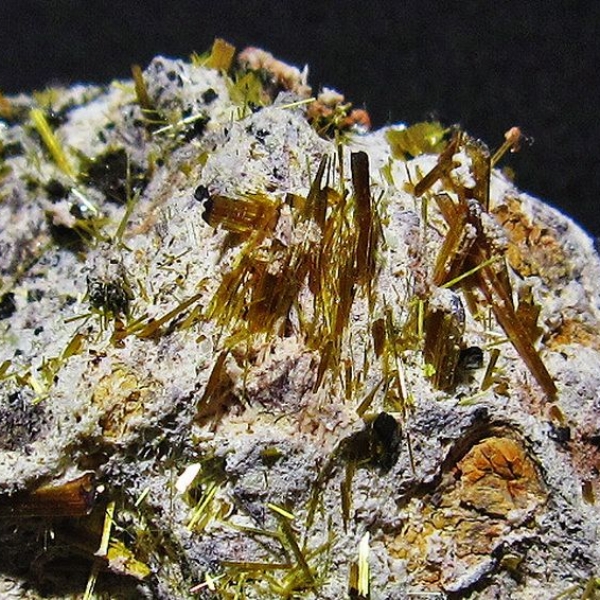 ゴールドタイチンルチルクラスター[T801-198]