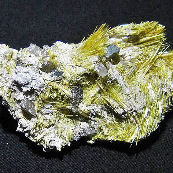 ゴールドタイチンルチルクラスター[T801-325]