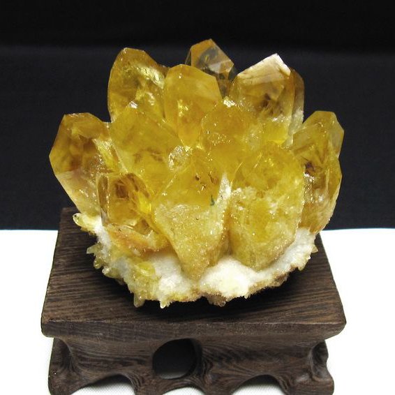 黄水晶 イエロークォーツ クラスター  [t802-6313]